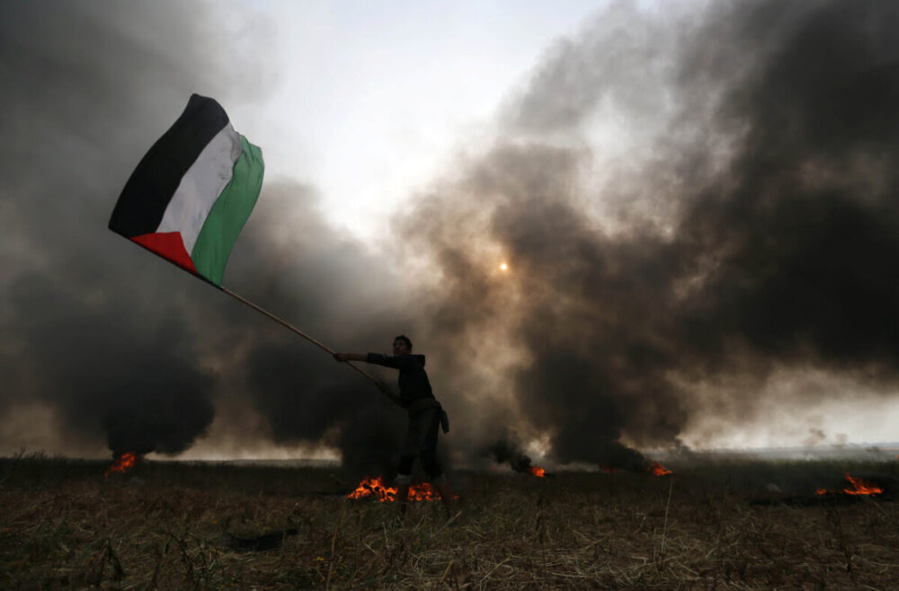 Le parasite et la Palestine : une écologie de la colonisation